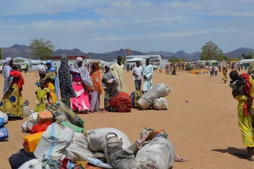 Extrême-Nord : le Cameroun lance le recensement des réfugiés nigérians pour une meilleure assistance humanitaire