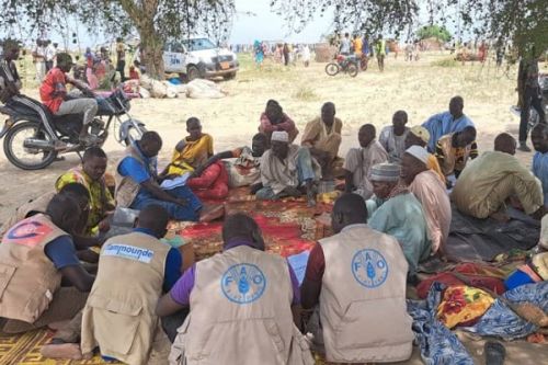 Extrême-Nord : plus de 500 familles déplacées après des attaques de Boko Haram à Hilé-Alifa