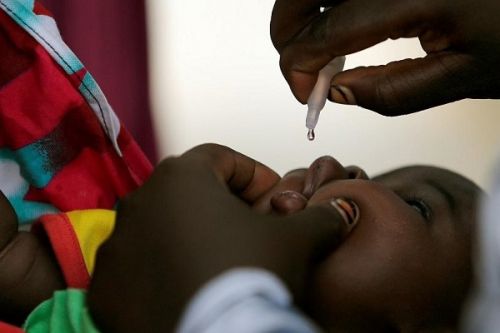 Poliomyélite : le Cameroun prépare une campagne de riposte synchronisée avec d’autres pays