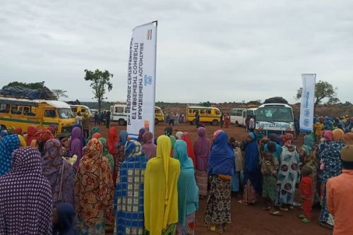 Adamaoua : 66 familles de réfugiés quittent Ngam au Cameroun pour retourner chez elles en RCA