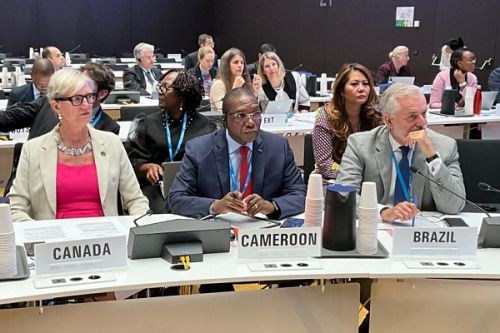 Le Cameroun intègre le Conseil exécutif de l’OMS pour un mandat de trois ans