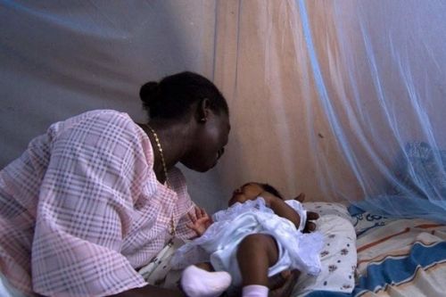 Paludisme : plus de 40 % de la population boude l’utilisation des moustiquaires distribuées gratuitement