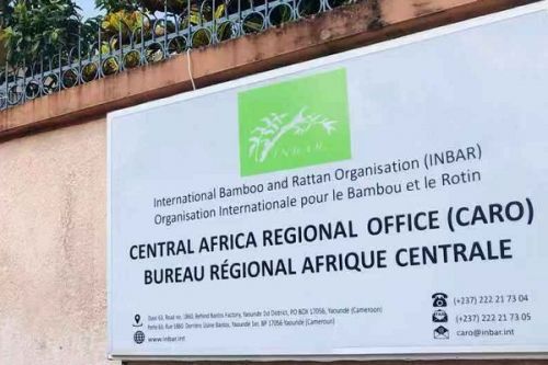 Cameroon will host the first Africa Bamboo and Rattan Congress from April 20 to 22