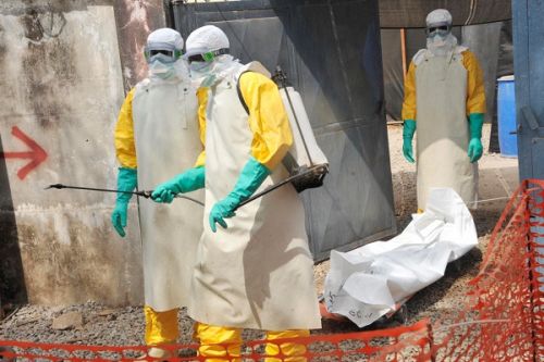 Maladie à virus Marburg : vers une réponse commune du Cameroun, du Gabon et de la Guinée équatoriale