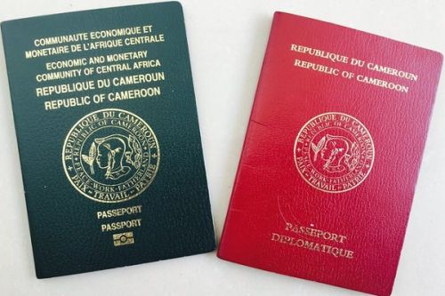 Des facilités d’obtention de passeport pour les Camerounais résidant à l’étranger