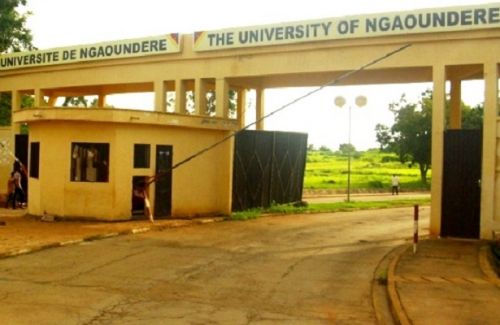 Enseignement supérieur : l’université de Ngaoundéré adopte son plan stratégique 2021-2025