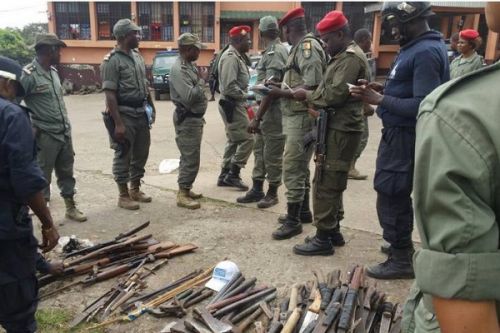 Insecurity: Parliament expresses concern over the sheer number of firearms in circulation in Cameroon