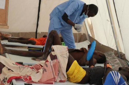 Lutte contre les épidémies : des experts africains réunis à Yaoundé pour renforcer les dispositifs de riposte