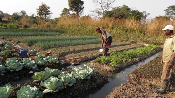 agriculture-le-gouvernement-regule-l-utilisation-des-eaux-naturelles-pour-l-irrigation-des-champs