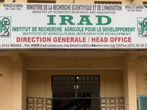 IRAD: Union reacts to the suspension of 3 staff representatives’ employment contracts