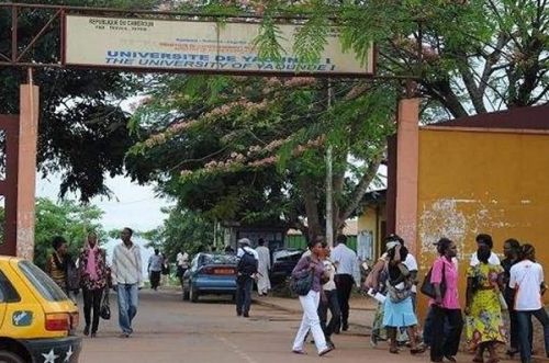 Université de Yaoundé I : brouille entre le recteur et le doyen de la faculté des sciences sur le taux d’échec et un vol d’ordinateurs