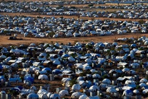 Réfugiés : la capacité d’accueil du camp de Minawao dépassée, l’aménagement d’un deuxième site piétine