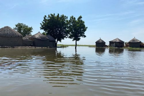 Les changements climatiques constituent une menace imminente pour le développement du Cameroun (Banque mondiale)