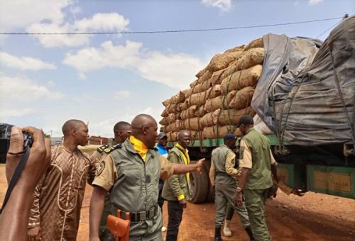 Adamaoua : la Douane saisit près de 10 000 litres de carburant de contrebande en provenance du Nigeria