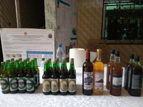 L’Université de Ngaoundéré présente «Mbong» et «Sembe», deux bières à base manioc et de mil produites par ses étudiants