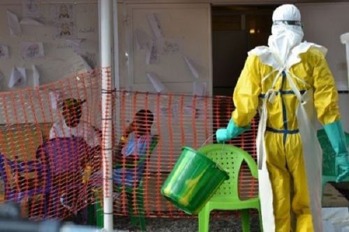 Maladie à virus Marburg : Washington propose une équipe de spécialistes pour aider la Guinée et le Cameroun