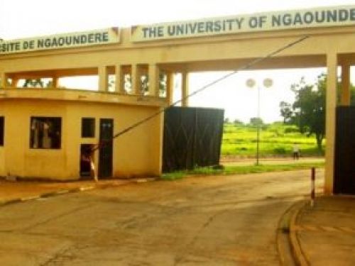 The University of Ngaoundéré adopts its strategic plan 2021-2025