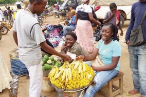Le maire de Mbankomo préoccupé par les cas de mûrissement artificiel de la banane vendue sur l’axe Douala-Yaoundé