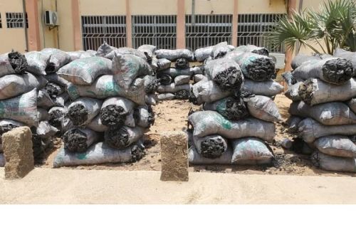 More than 350 bags of green charcoal were seized in the Far North