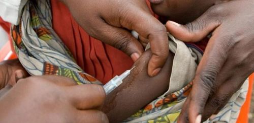 Fièvre jaune: le Cameroun prépare une campagne de riposte pour contenir la hausse des cas