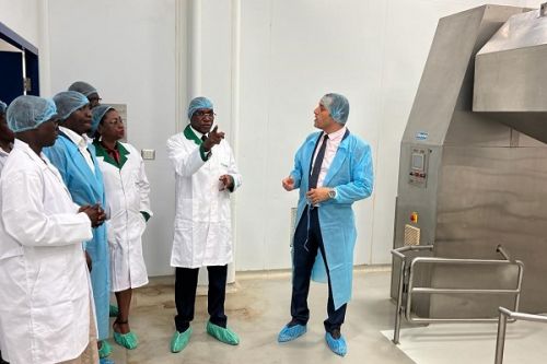 Industrie pharmaceutique : le Minsanté au chevet entreprises camerounaises en difficulté