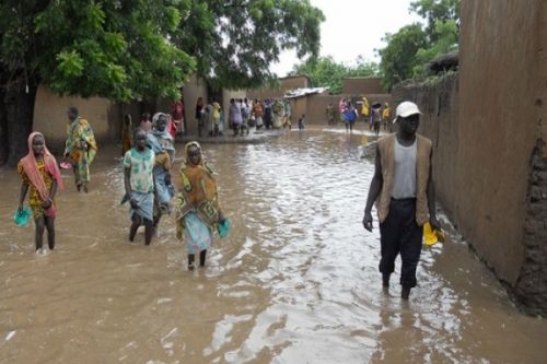 Cameroon: Climate change threatens food security in the Far-North region