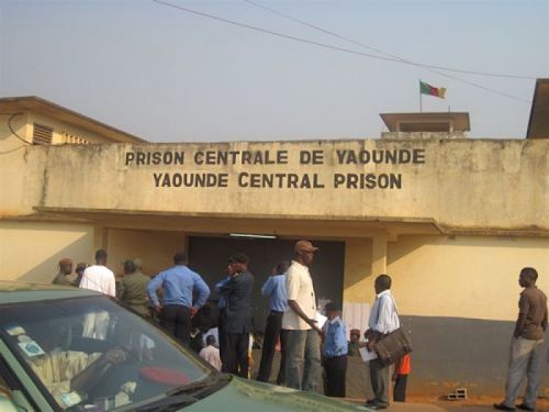 Three young Cameroonians sentenced for Boko Haram joke