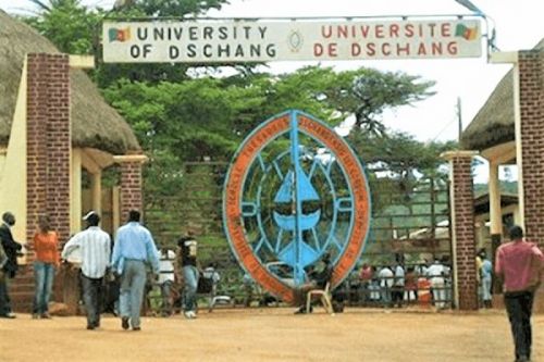 Classements internationaux : comment les universités camerounaises peuvent améliorer leur rang