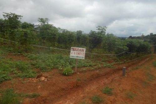Un plaidoyer de la société civile pour une réforme foncière au Cameroun