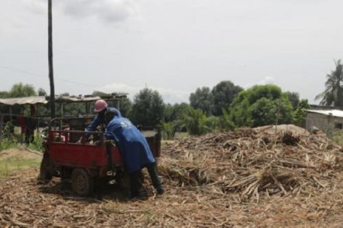Protection de l’environnement : en quête d’efficacité, le Cameroun décentralise son action