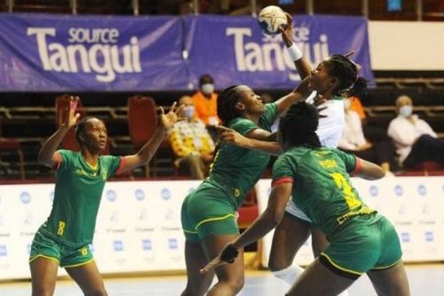 Handball : la Fédération veut faire appel aux binationaux pour améliorer les performances des équipes nationales