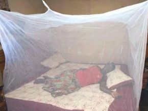Paludisme : le ministère de la Santé revendique un taux de distribution des moustiquaires de 100% dans 5 régions