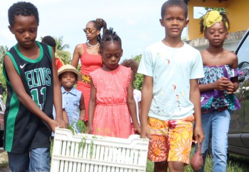 Éducation : la fermeture d’une école panafricaine en Guadeloupe ouvre le débat sur les écoles françaises en Afrique