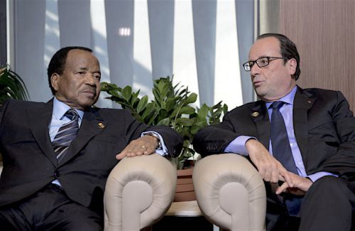 Is France being lax in the fight that Cameroon is waging against Boko Haram?