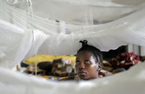 Santé : le paludisme fait plus de 1000 morts au 1er semestre 2020