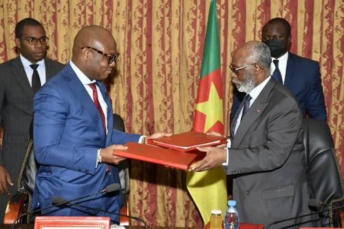 Cameroon plans to issue biometric visas as of June 2022