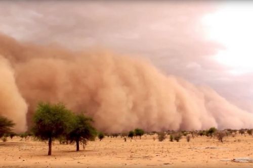 Météo : un nuage de poussière annoncé dans certaines régions du pays