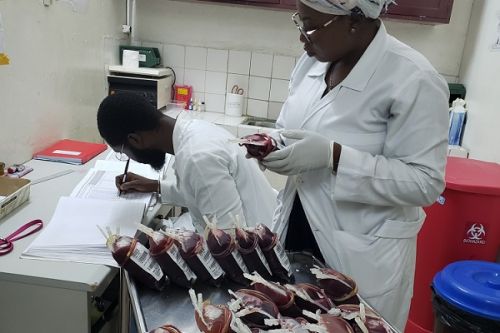 Le Cameroun en quête de plus de 300 000 poches de sang pour couvrir la demande nationale