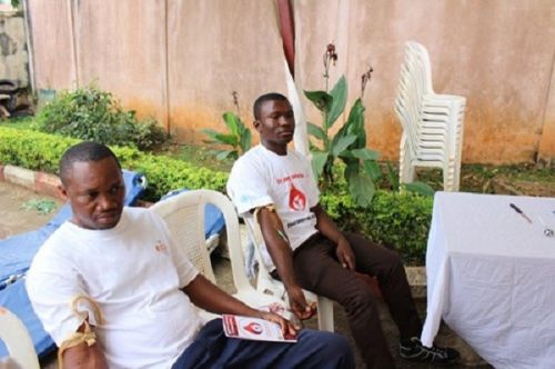 Don de sang : le Cameroun peine à satisfaire la demande nationale estimée à 400 000 poches par an