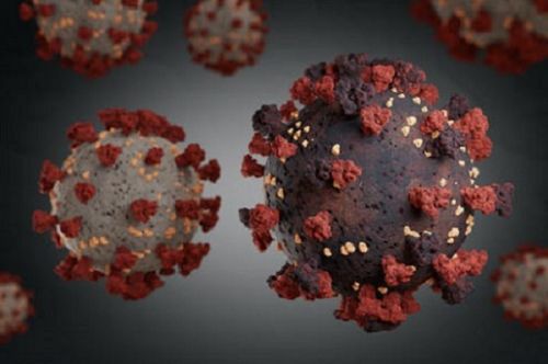 Coronavirus : le variant Delta est devenu le virus majoritaire circulant dans la ville de Yaoundé (Centre pasteur)