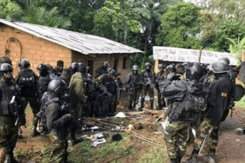 Crise anglophone : l’armée rejette les accusations de Human Rights Watch et pointe les « irrédentistes terroristes »