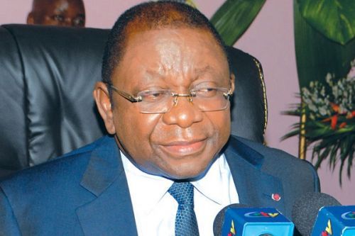 Cameroon Earns XAF400 Billion Annually from Cocoa, Minister Atangana Says