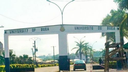 Universities of Bamenda and Buea: Gov’t orders investigation into some separatism glorification allegations