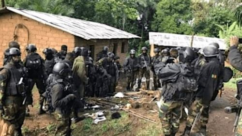 Cameroon : Army dismantles a pro-independent retrenchment camp in the North-West