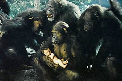 The movie Legend of Tarzan was filmed in Cameroon