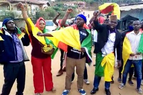 Marches du MRC : quatre militants de « Stanp up for Cameroon » inculpés par le tribunal militaire