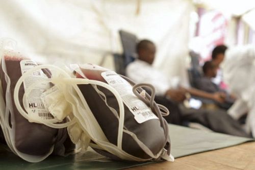 Transfusion sanguine : le Cameroun satisfait moins de 25 % d’un besoin de 400 000 poches de sang par an