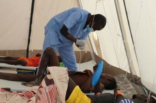 Cameroon: 50 cholera deaths reported in four months