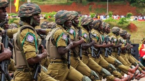 Cameroon&#039;s Military Might: Ranking Lower Than Regional Peers, Despite Strong Potential