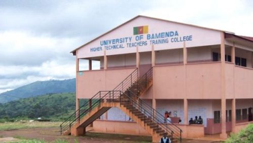 Yes, the 12 young people kidnapped near the University of Bamenda have been released